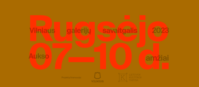 Vilniaus galerijų savaitgalis