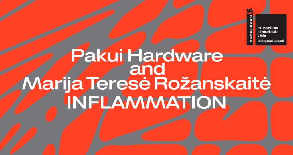The Pavilion of Lithuania at the 60th International Art Exhibition – La Biennale di Venezia