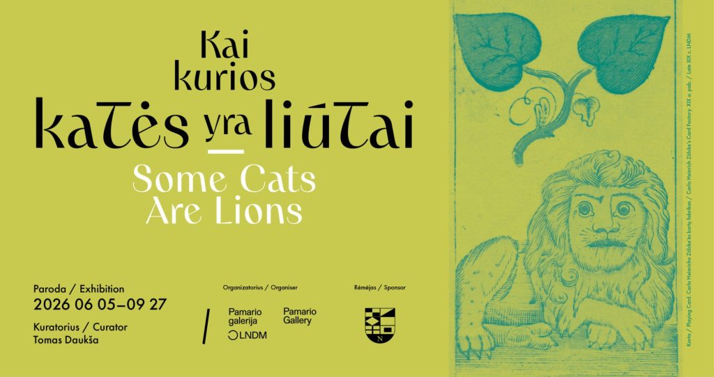 Kai kurios katės yra liūtai